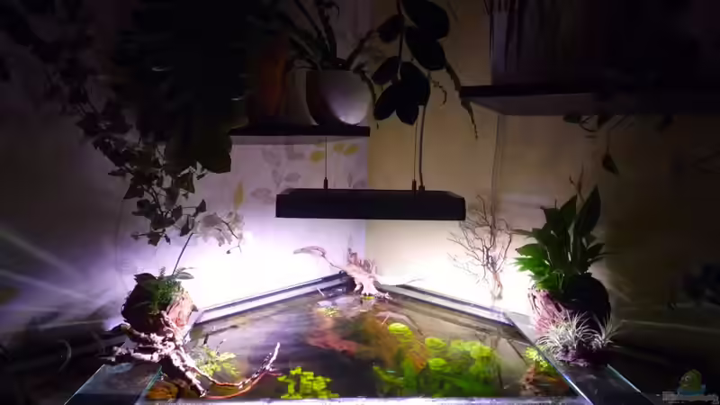 01.01.2013 von Michel (18)