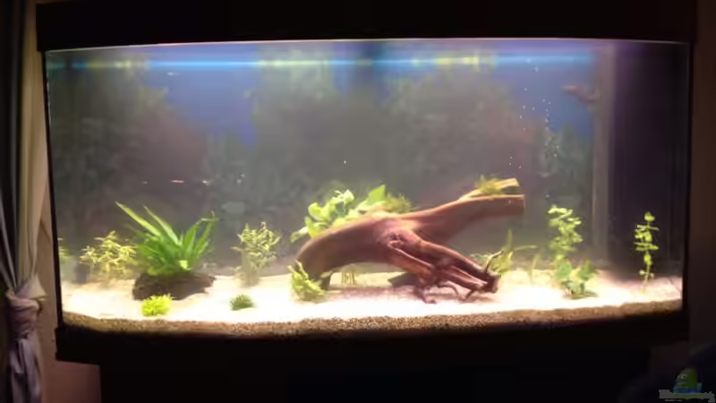 01.01.2014 - Ersteinrichtung von Oskar (2)