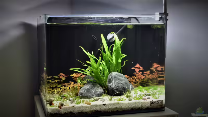 01.01.2021 von Junglist (2)