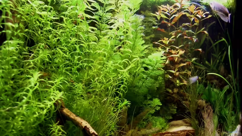 01.02.08 von Manuel (2)