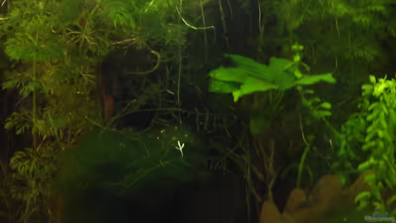 01.02.12 von TinaMarie (5)