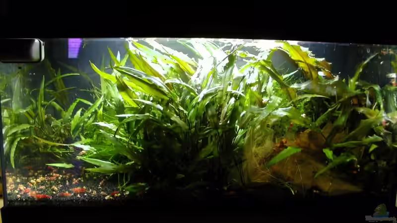 01.02.2009 von Matthias (7)