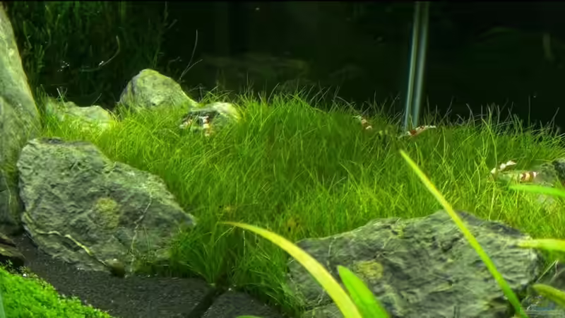 01.02.2011 von Maik A. (17)