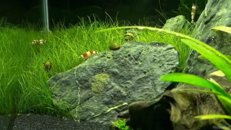 01.02.2011 von Maik A. (18)