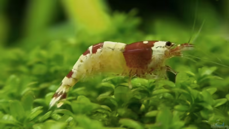 01.02.2011 von Maik A. (32)