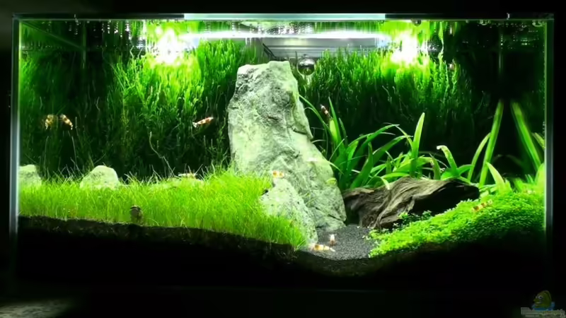 01.02.2011 von Maik A. (7)