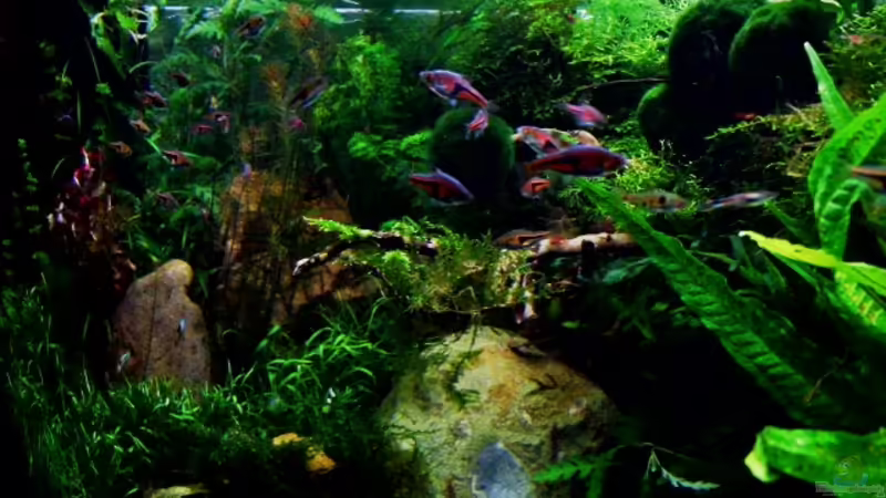 01.02.2013 von snooze (32)