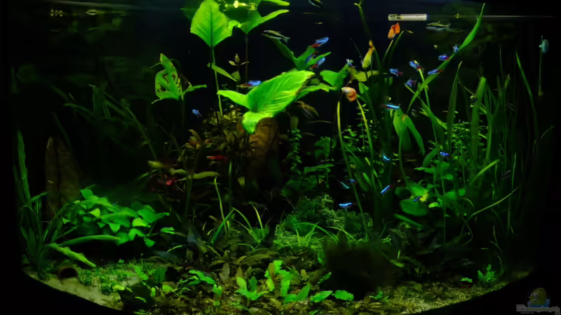 01.02.2013 von TDG (5)