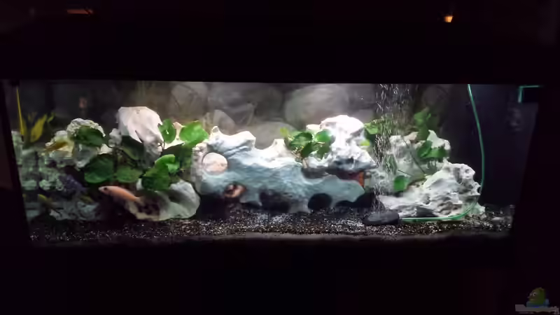 01.02.2014 von benjamin (1)