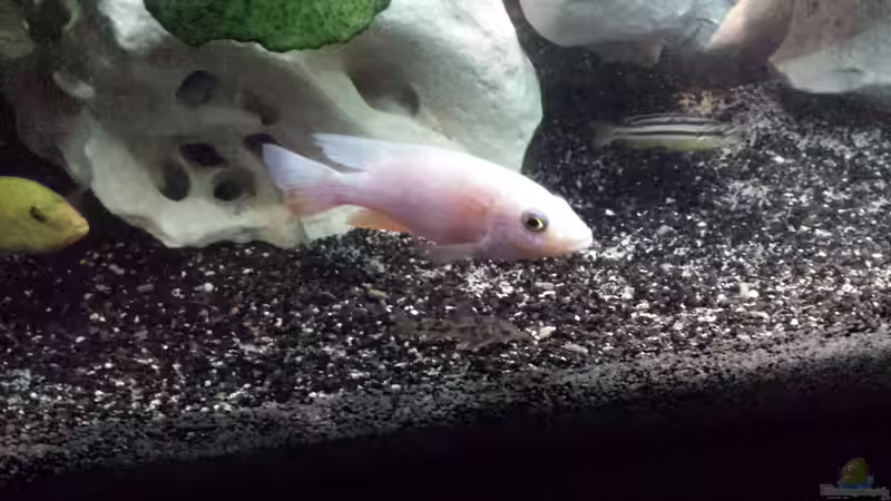 01.02.2014 von benjamin (30)