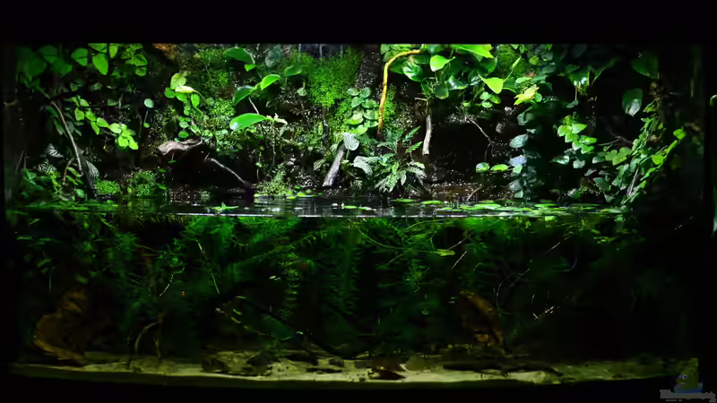 01.02.2014 von Koehler (13)