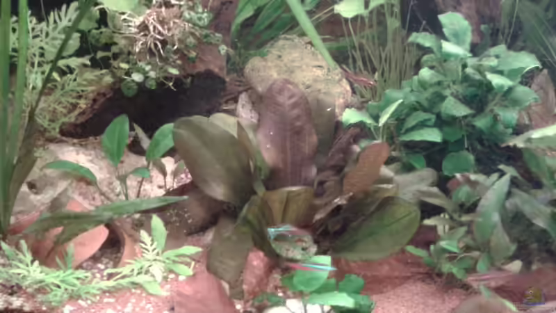 01.02.2016 von Ele Meer (12)