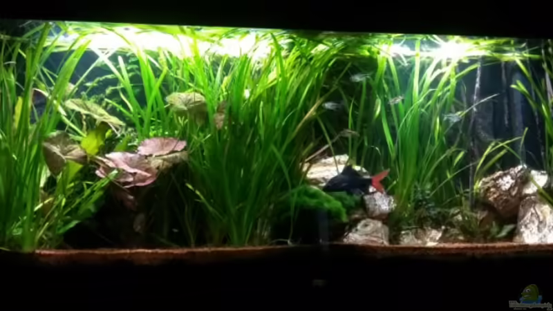 01.02.2017 von Mark H. (6)