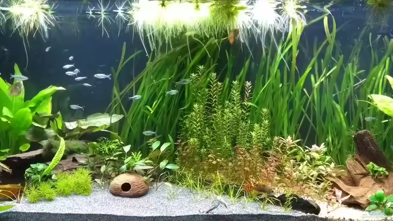 01.03.18 von Stephy (4)