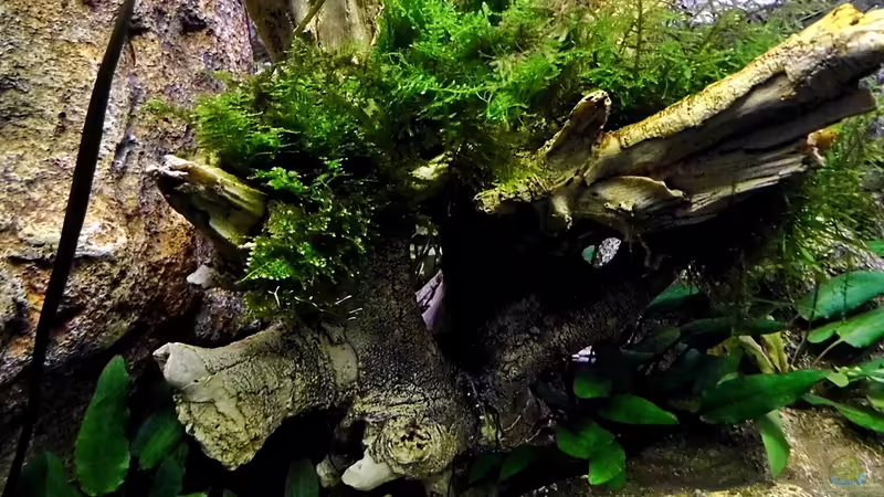 01.03.2014 von snooze (15)