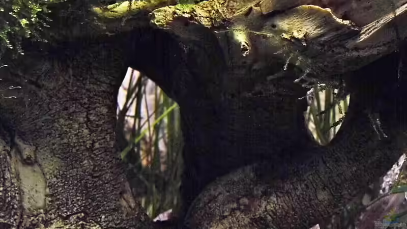 01.03.2014 von snooze (16)