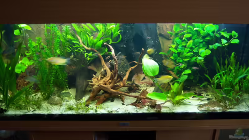 01.03.2015 von Schratze (36)