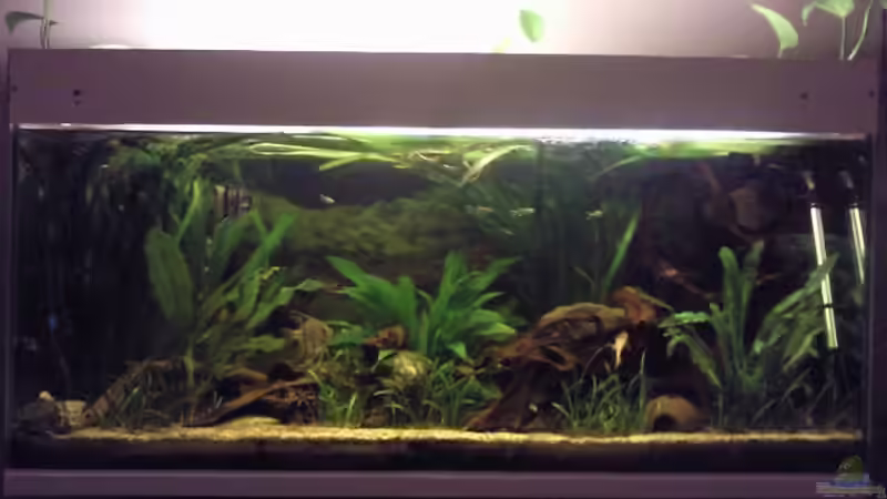 01.04.2012 von ~Danny~ (1)