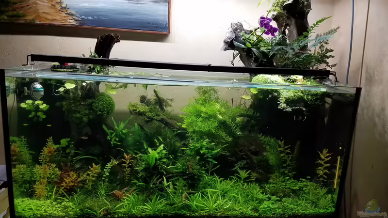 01.04.2020 von Smo (10)