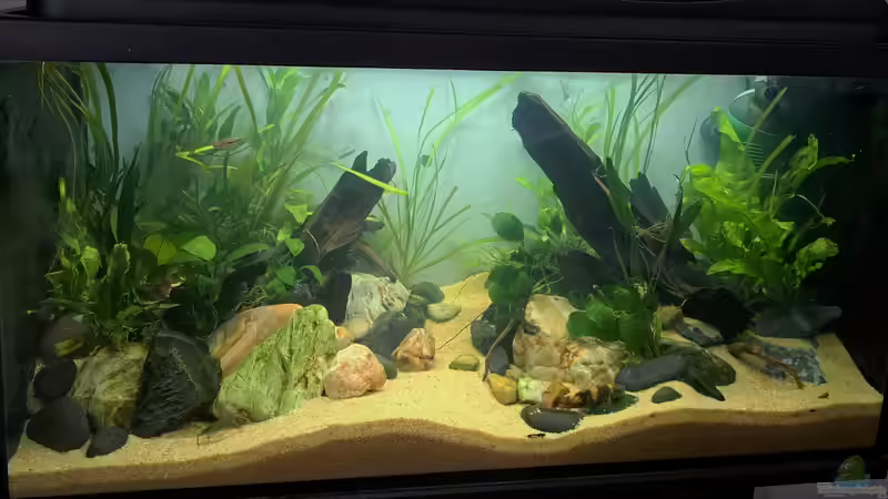 01.04.2023 von okefenokee (44)