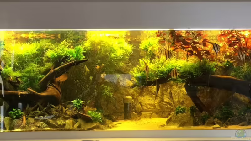 01.05.15 von Insulaner (14)