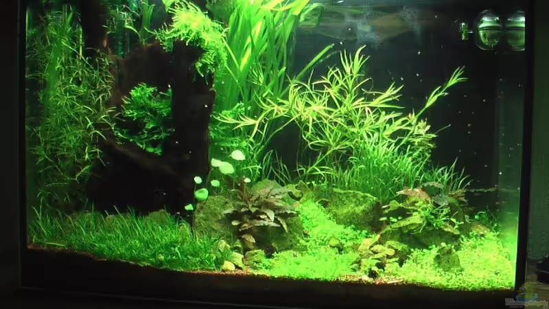 01.05.2011 von *Lucie* (1)