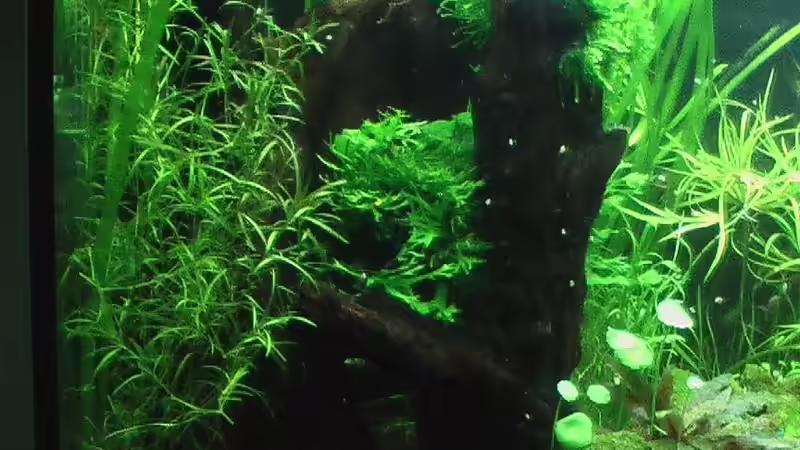 01.05.2011 von *Lucie* (2)