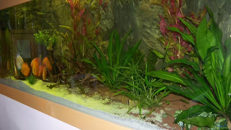 01.05.2012 von Silke (3)