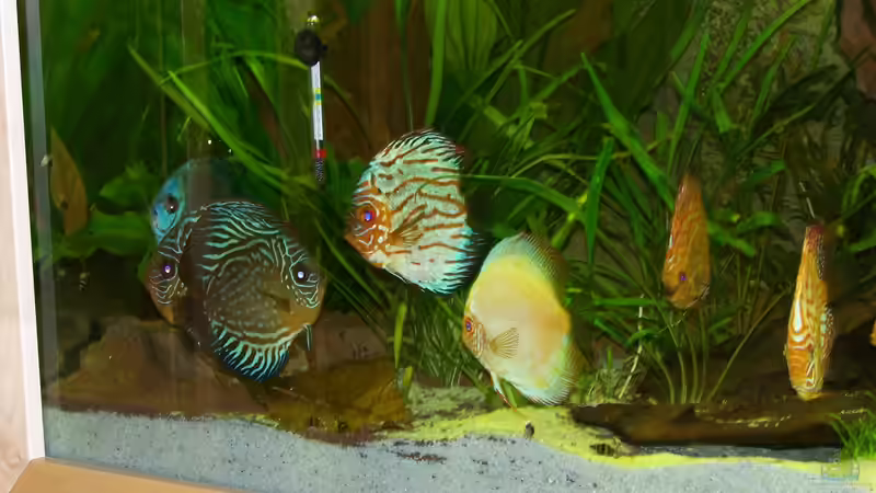 01.05.2012 von Silke (33)