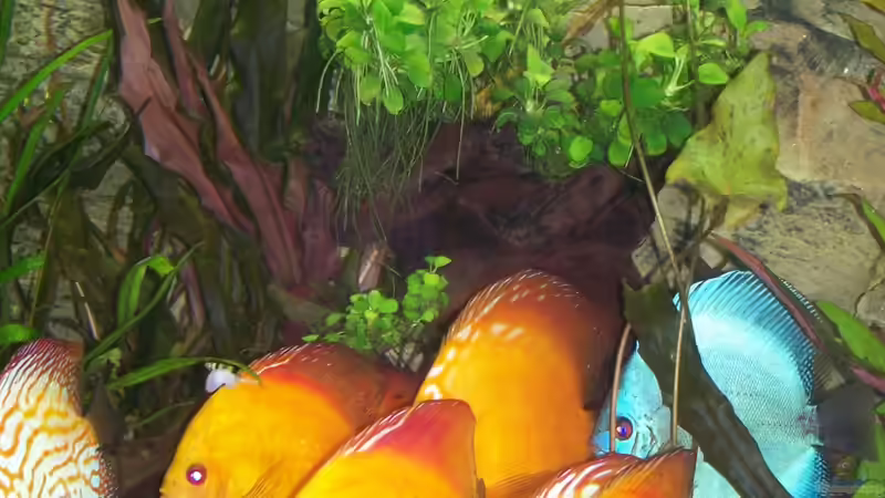 01.05.2012 von Silke (35)