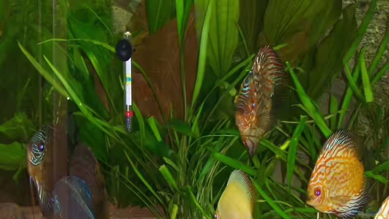 01.05.2012 von Silke (38)