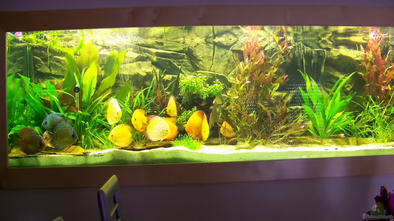 01.05.2012 von Silke (4)