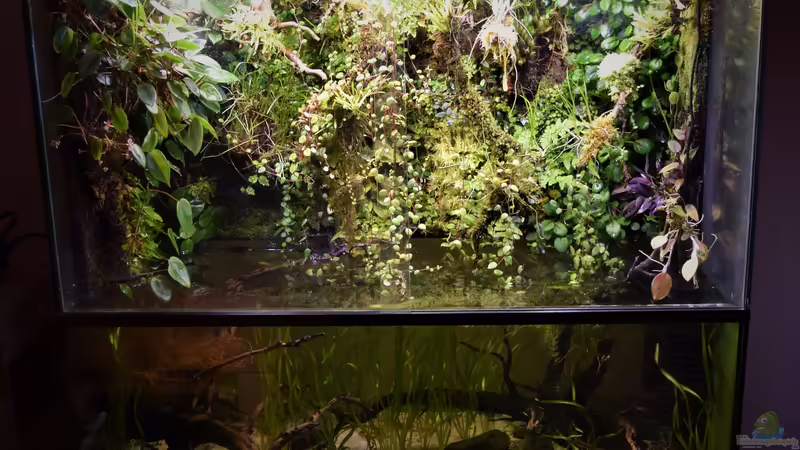 01.05.2019 von Junglist (13)