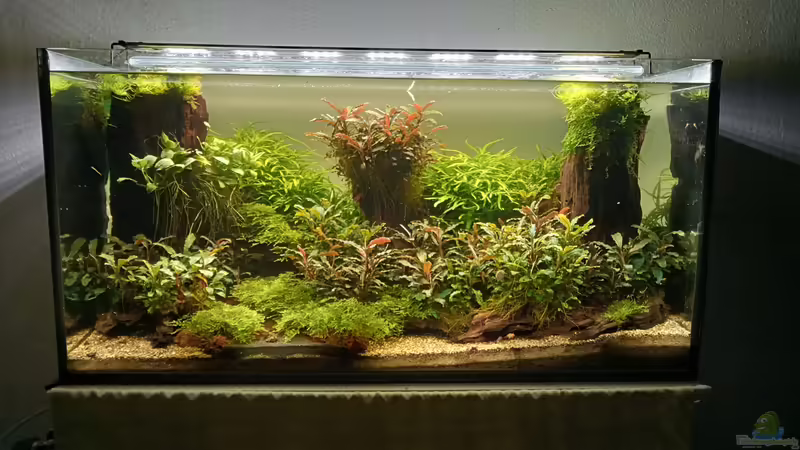 01.05.2023 von Mr-Shrimp (20)