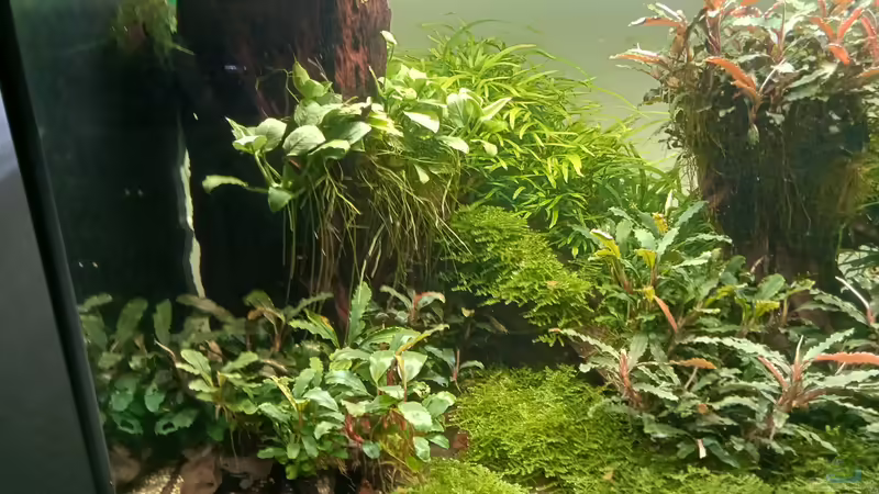 01.05.2023 von Mr-Shrimp (21)