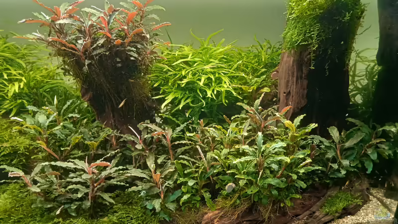 01.05.2023 von Mr-Shrimp (22)