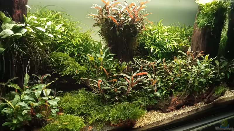 01.05.2023 von Mr-Shrimp (23)