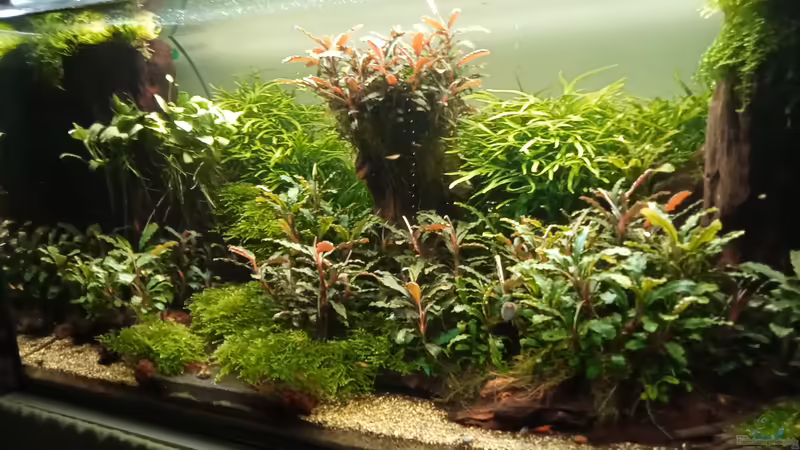 01.05.2023 von Mr-Shrimp (24)