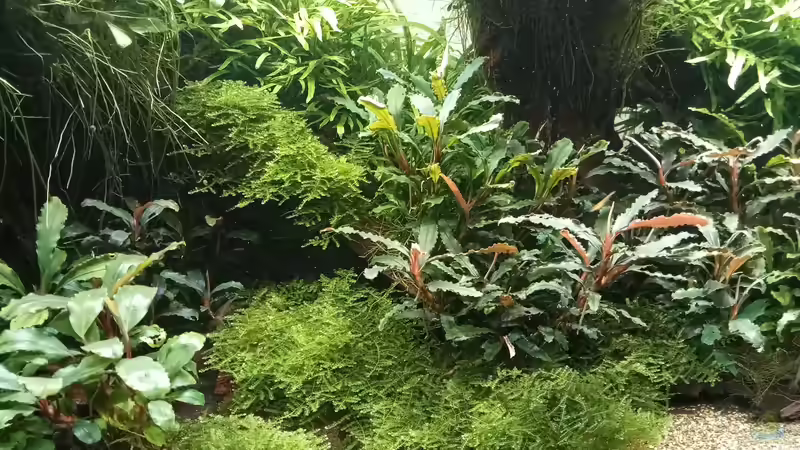 01.05.2023 von Mr-Shrimp (25)