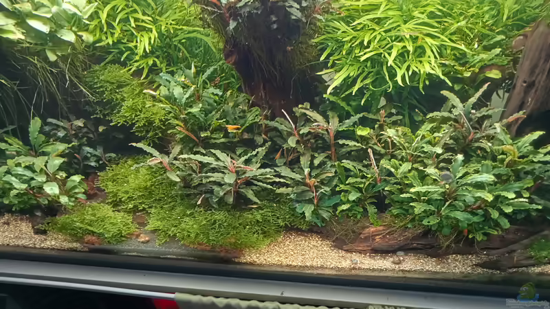 01.05.2023 von Mr-Shrimp (26)