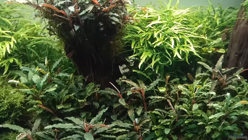 01.05.2023 von Mr-Shrimp (28)