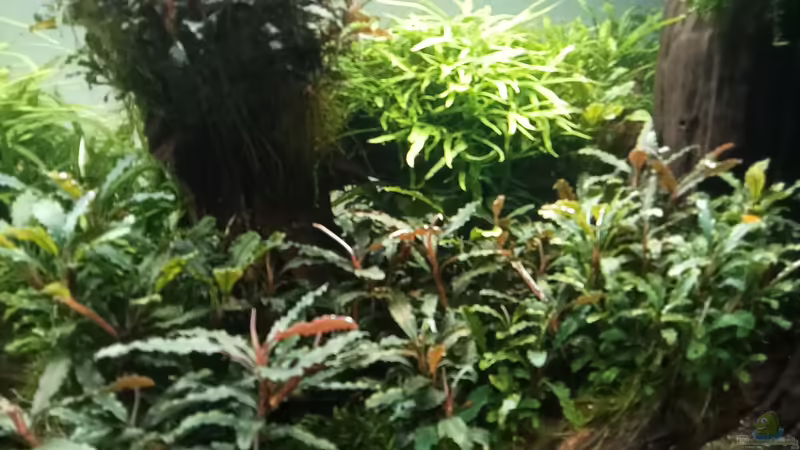 01.05.2023 von Mr-Shrimp (29)