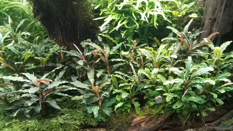 01.05.2023 von Mr-Shrimp (56)