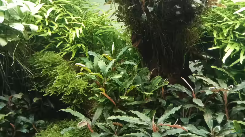 01.05.2023 von Mr-Shrimp (58)