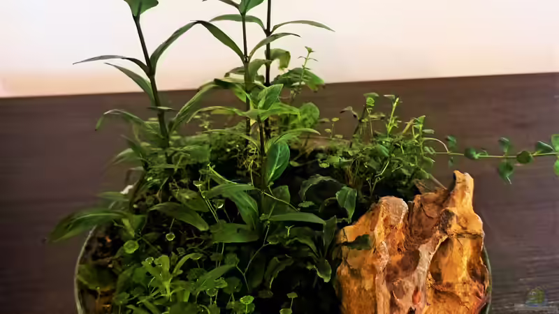 01.05.2023 von okefenokee (17)