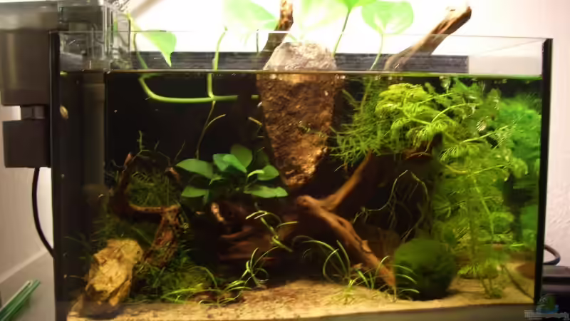 01.06.07 von Nadine Euringer (1)