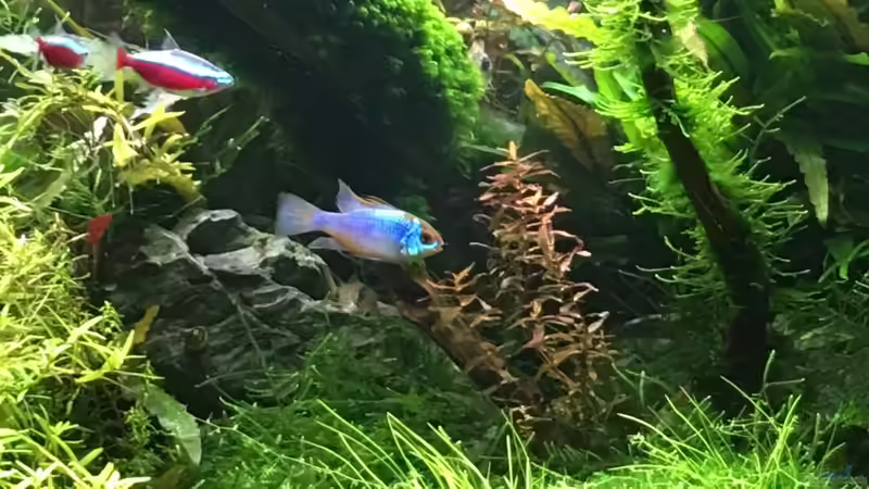 01,06,16 von Walde (36)