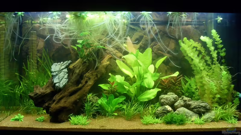 01.06.2011 von Springer (5)