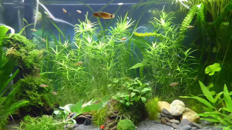 01.07.18 von Stephy (4)