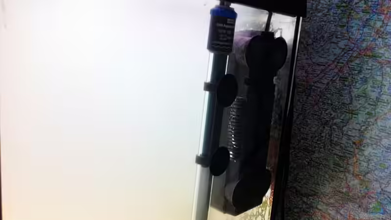 01.07.2011 von Sebastian Philipp (12)